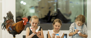 Event-Image for 'Walk-in Basteln - Male kunterbunte Ostereier'