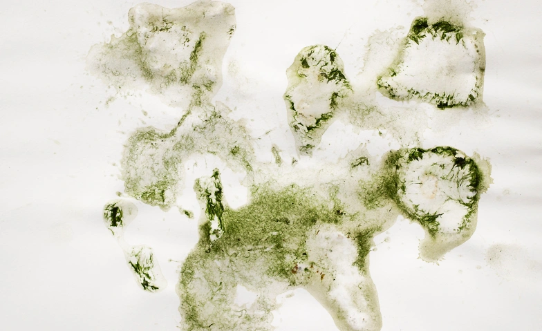 Event-Image for 'Not on Paper. Zeichnungen auf unkonventionellen Materialien'