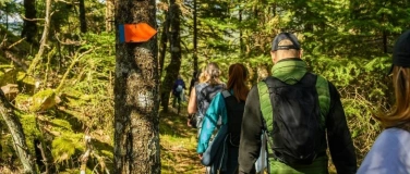 Event-Image for 'Gef&uuml;hrte Naturwanderung durch das Biesenthaler Becken'
