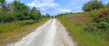 Event-Image for 'Kr&auml;uterwanderung'