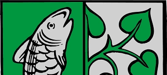 Veranstalter:in von Burgfest Immenstadt