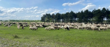 Event-Image for 'Was geschieht in der Fröttmaninger Heide?'