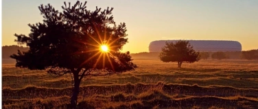 Event-Image for 'Im Herbst Altes abschütteln'