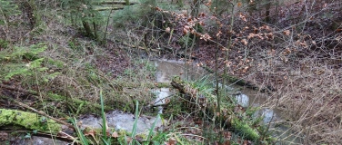 Event-Image for 'Verborgene Wasser, lebendige B&auml;che!'