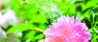 Event-Image for 'Musikalischer Abendgottesdienst'