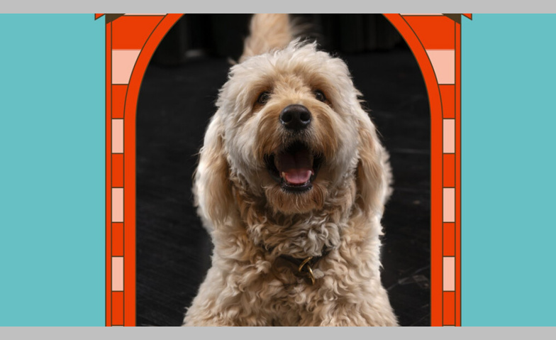 Event-Image for 'WAU WOW'