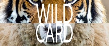 Event-Image for 'Wild Card'