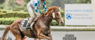 Event-Image for 'Zürcher Renntag, 03.05.2026'