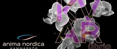 Event-Image for 'Nordisches Chorkonzert  anima nordica kammark&ouml;r  KVAR'