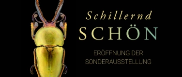 Event-Image for 'Eröffnungsfeier der Sonderausstellung „Schillernd schön“'