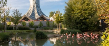 Event-Image for 'KMUdate bei Knie's Zauberhut Rapperswil'