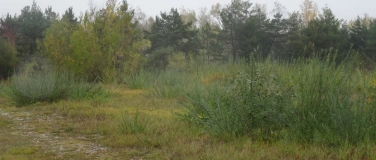Event-Image for 'Schnipp Schnapp, Ruten ab'