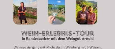 Event-Image for 'WEIN-ERLEBNIS-TOUR - Randersacker - VDP Weingut Arnold'