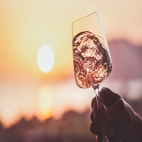 Ausverkauft! Drink Pink. Die Welt der Rosé Weine Frau Riesling®, Weinseminare in Mannheim, Augartenstraße 24, 68165 Mannheim Tickets