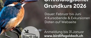Event-Image for 'Grundkurs Vogelkunde'