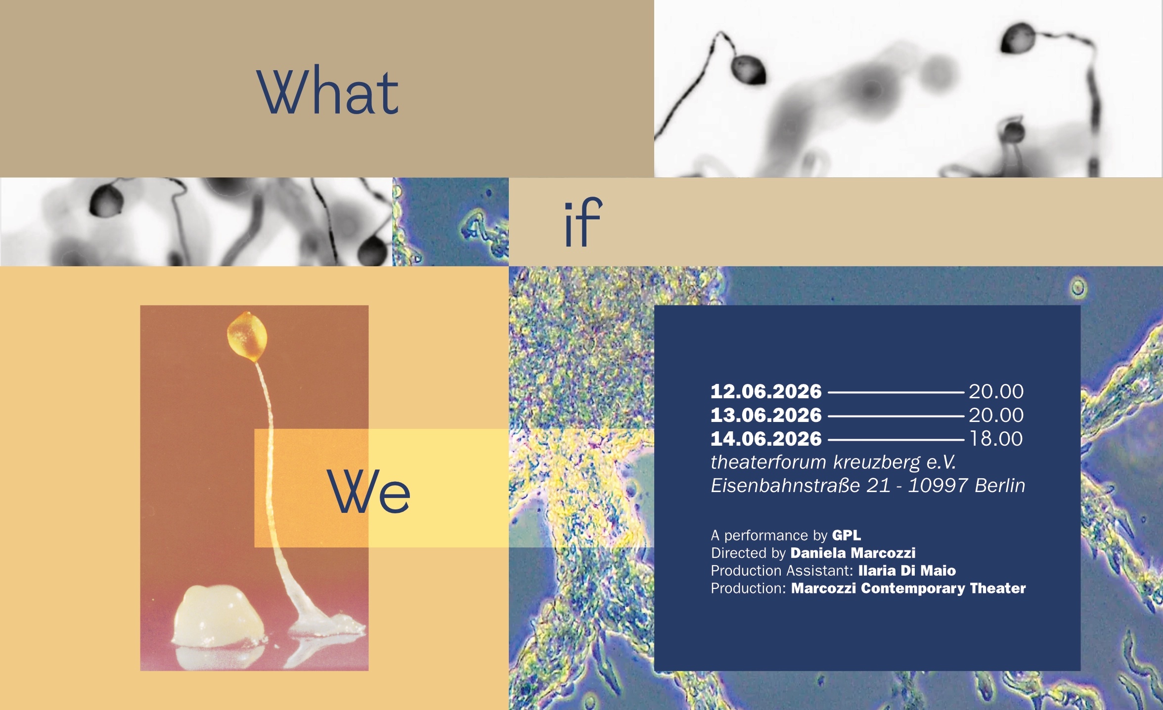Event-Image for 'What if we'