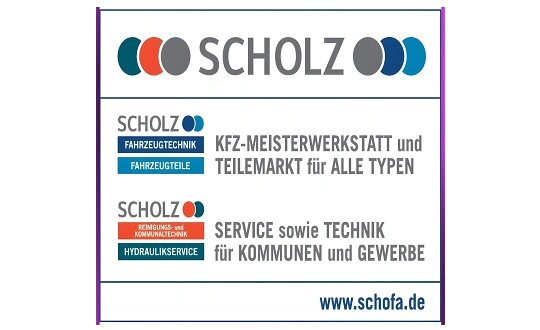 Sponsoring-Logo von Heimspiel SV 04 Plauen-Oberlosa vs. SC DHFK Leipzig Event