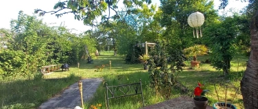 Event-Image for 'Feier zur Sommersonnenwende'