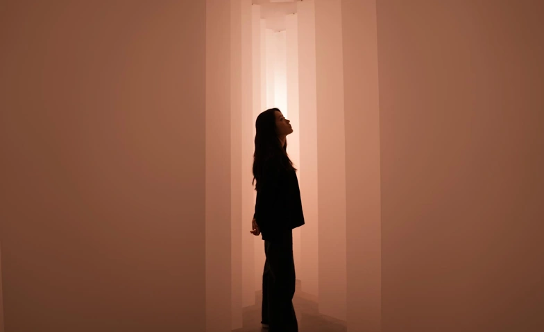 Event-Image for 'Beyond the Visible: Discoveries in Light.'