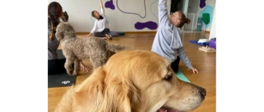 Event-Image for 'Hunde - Yoga'