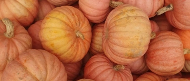 Event-Image for 'Auf den Kürbis gekommen – Kunterbunte Kürbisküche'