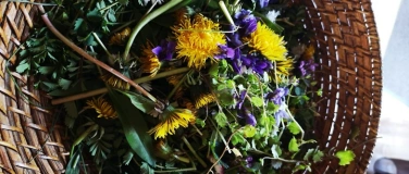 Event-Image for 'Wildkr&auml;uter-WANDERUNG'