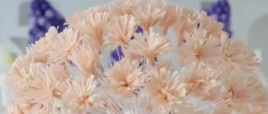 Event-Image for 'Crafting Friday: Pusteblume XXL'