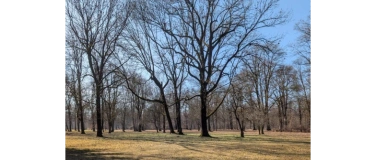 Event-Image for 'Shinrin Yoku: Schnupper-Waldbaden im Park am Samstag, 07.03.'