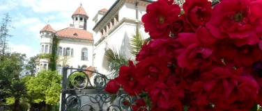 Event-Image for 'Wiener Kaffeehausnachmittag'