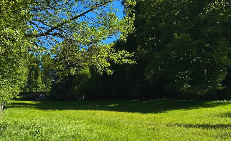 Event-Image for 'Earth Whisper &ndash; Soundjourney in der Natur'