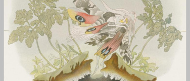 Event-Image for 'Wie wir weiterleben. Vorstellungen vom Danach'