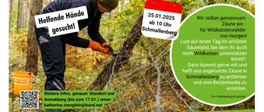 Event-Image for 'Im Einsatz für Wildkatze & Co: Zäune abbauen im Sauerland'