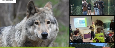 Event-Image for 'Wildes Wochenende'