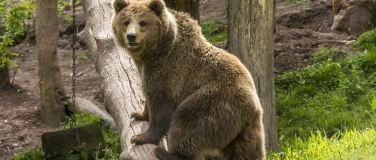 Event-Image for 'Fr&uuml;hlingserwachen im Wildparadies'