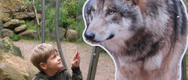 Event-Image for 'Kinder-Spezial: Wolfswanderung in der Dämmerung'