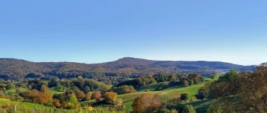 Event-Image for 'Schritt f&uuml;r Schritt Odenwald'