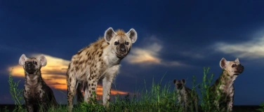 Event-Image for '32 Das Winnerbild - Lorenz A. Fischer'