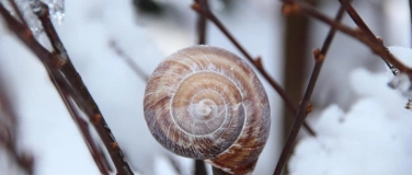 Event-Image for 'YOGA & NATUR'