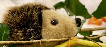 Veranstalter:in von Wintergeschichte