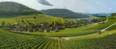 Event-Image for 'Winzer zu Besuch'