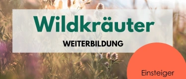 Event-Image for 'Wildkr&auml;uter f&uuml;r Einsteiger - Weiterbildung / Bildungszeit'