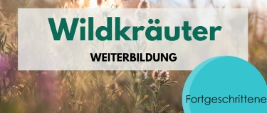 Event-Image for 'Wildkräuter Weiterbildung für Fortgeschrittene'