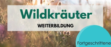 Event-Image for 'Wildkr&auml;uter f&uuml;r Fortgeschrittene - Weiterbildung'