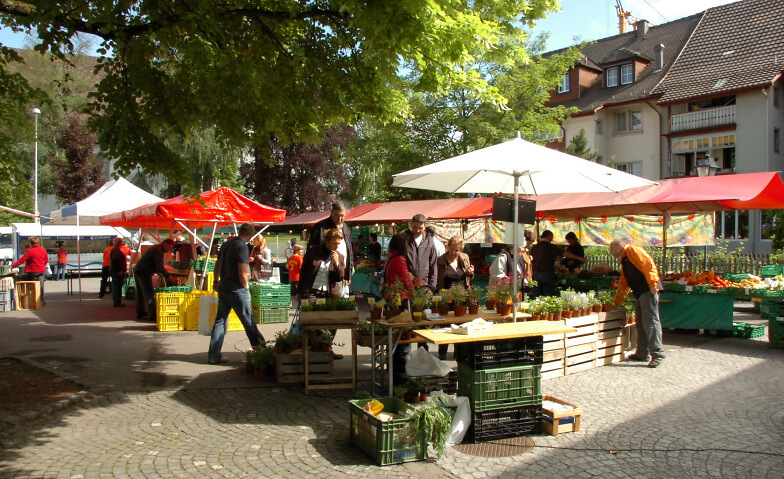 Monkey Market am Schlaun am Sonntag, 27. 8. 2023 von 10.30 bis 17