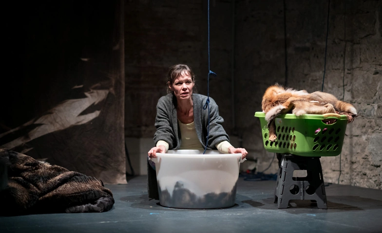 Event-Image for 'Zum Beispiel Wölfe'