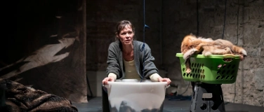 Event-Image for 'Zum Beispiel Wölfe'