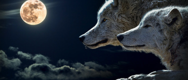 Event-Image for 'Vollmond-Trommeln f&uuml;r Frieden und Freiheit'