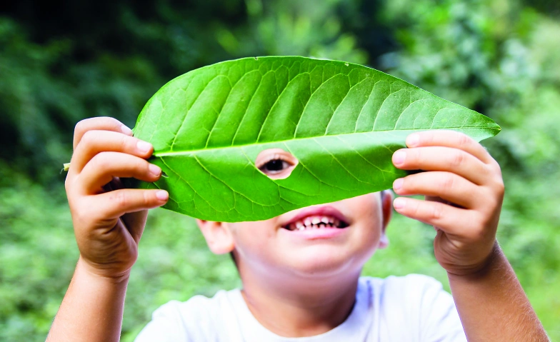 Abenteuerlicher Waldtag Billets