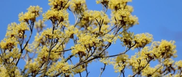 Event-Image for 'WORKSHOP: Tierfreundliche Str&auml;ucher und Hecken im Garten'