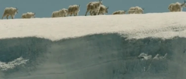 Event-Image for 'Das Wunder der Wiederkehr'